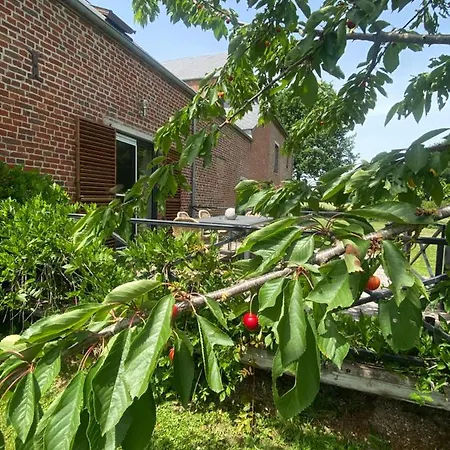 Du Grand Bois Maubeuge