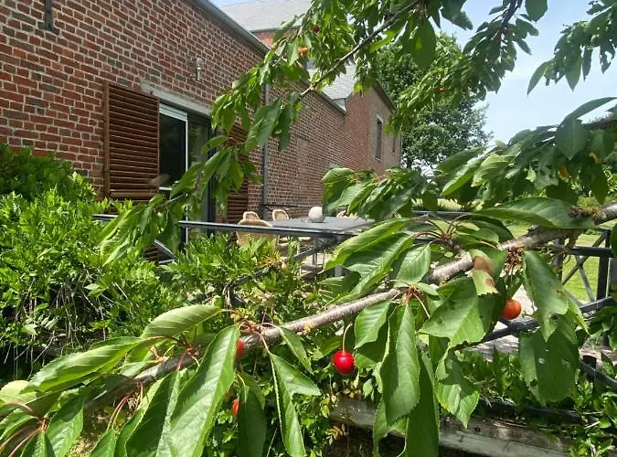 Du Grand Bois Maubeuge